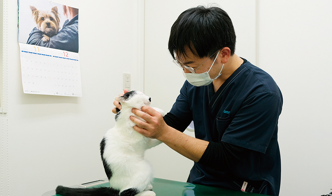 「やさしく、誠実に、情熱を持って、命を守る」がモットーの医院は、予約が取れないほど盛況