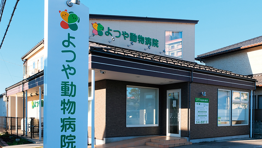 よつや動物病院