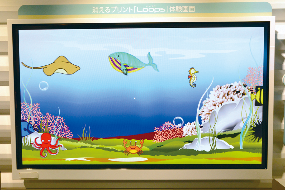 常設展では海の生きもののぬり絵が泳ぐ